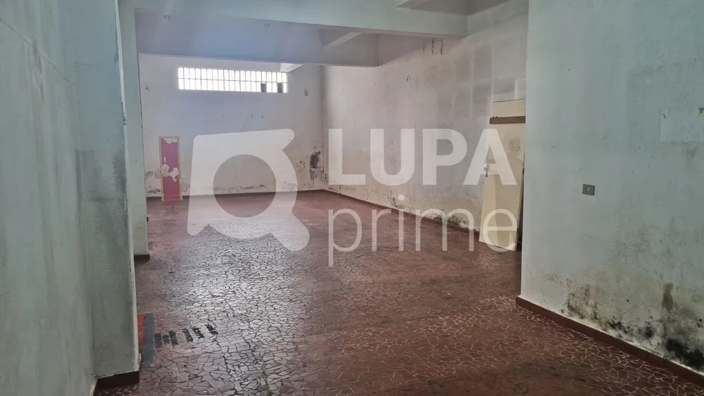 Loja-Salão, 350 m² - Foto 5