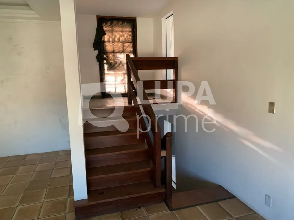 Casa, 3 quartos, 350 m² - Foto 7