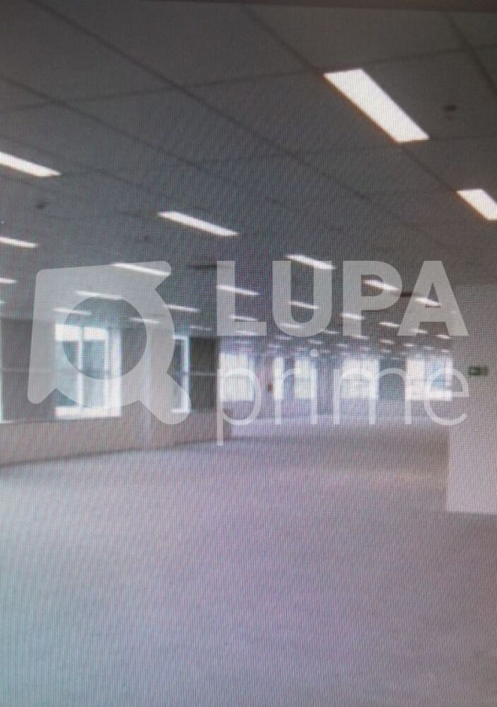 Sala-Conjunto, 1000 m² - Foto 1