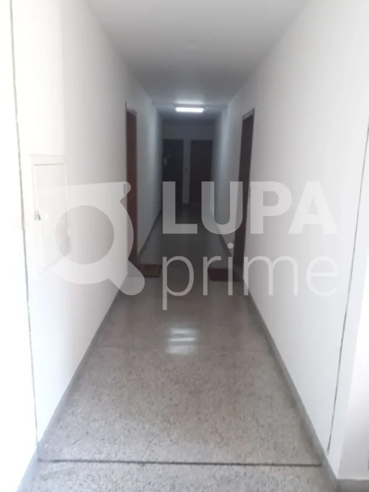 Apartamento, 3 quartos, 65 m² - Foto 8