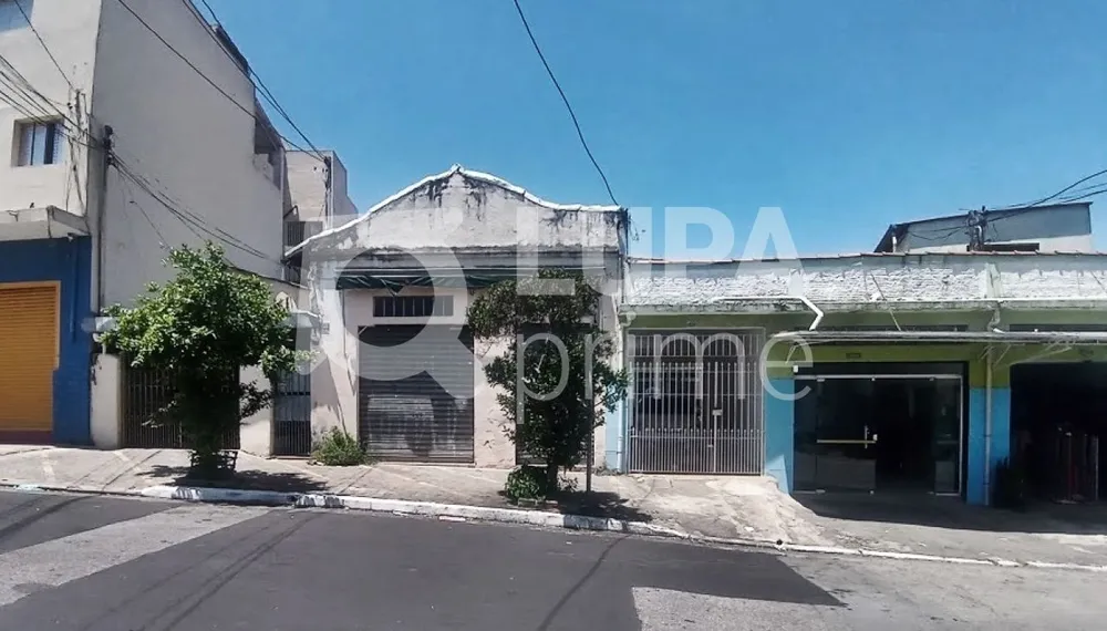 Casa, 5 quartos, 239 m² - Foto 14
