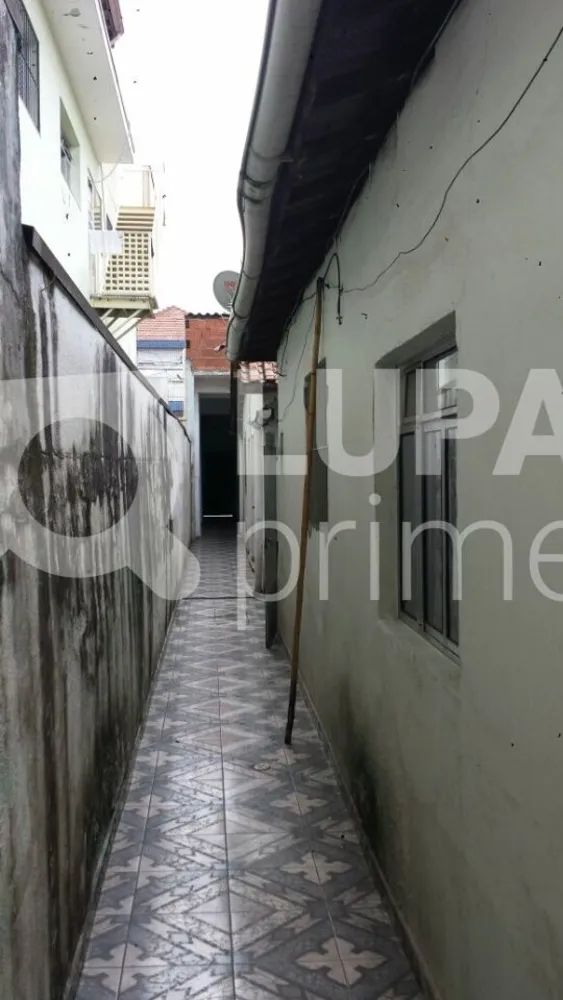 Casa, 6 quartos, 300 m² - Foto 5