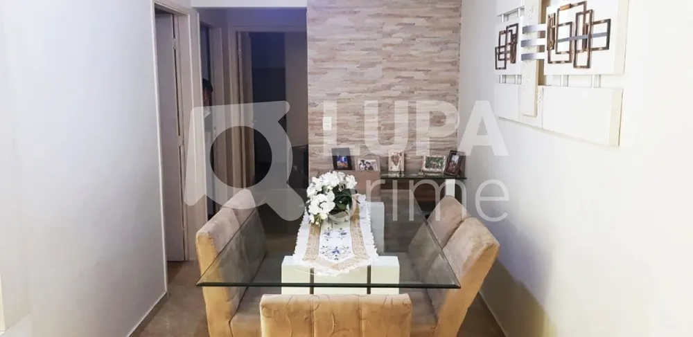 Apartamento, 3 quartos, 80 m² - Foto 10