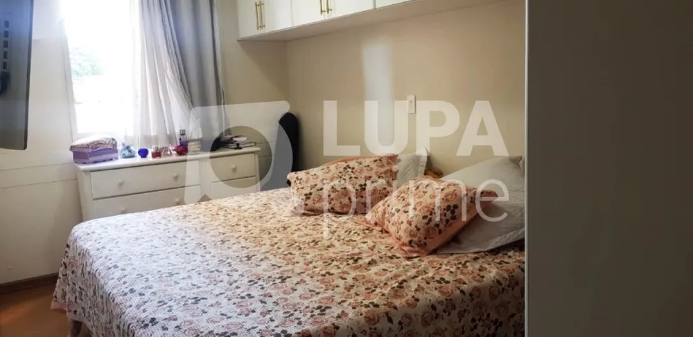 Apartamento, 3 quartos, 80 m² - Foto 5