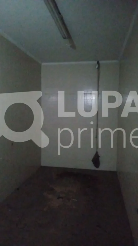 Casa, 3 quartos, 300 m² - Foto 8