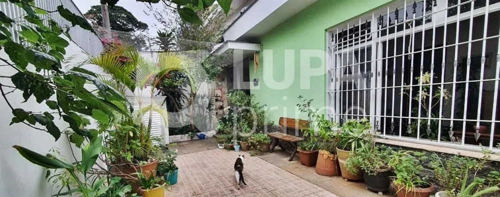Casa, 4 quartos, 197 m² - Foto 13