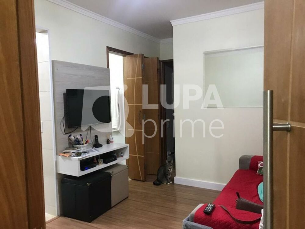 Apartamento, 2 quartos, 50 m² - Foto 7