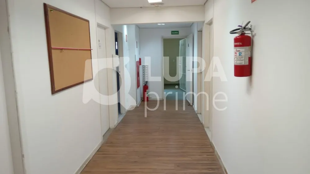 Sala-Conjunto, 209 m² - Foto 2