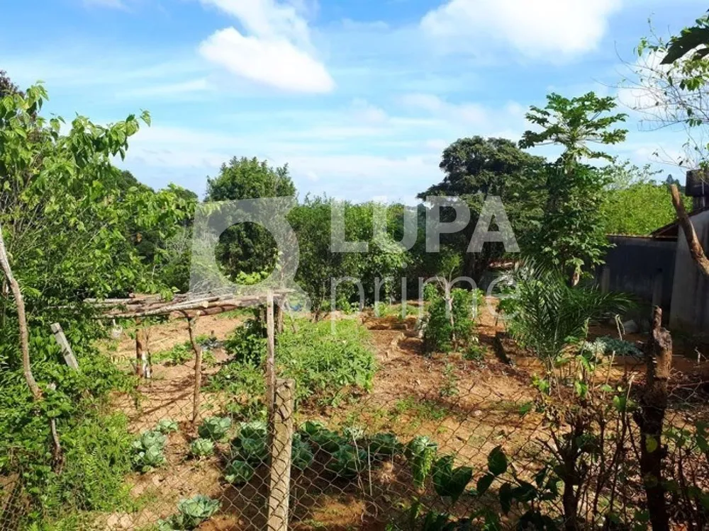 Chácara, 3 quartos, 2 hectares - Foto 8