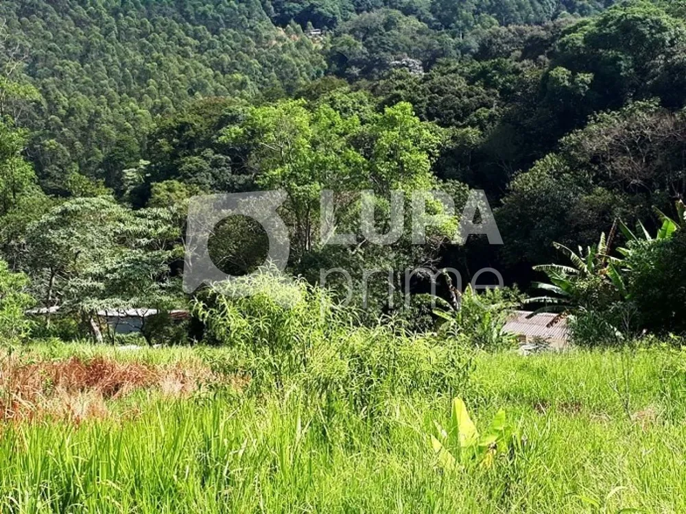 Chácara, 3 quartos, 2 hectares - Foto 10