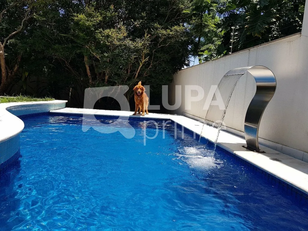 Casa, 4 quartos, 560 m² - Foto 3