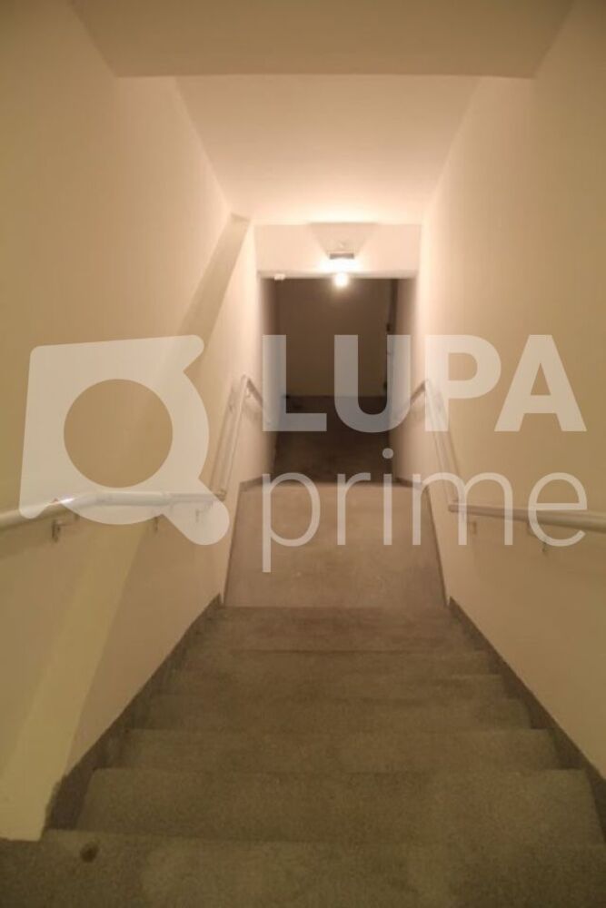 Loja-Salão, 210 m² - Foto 12