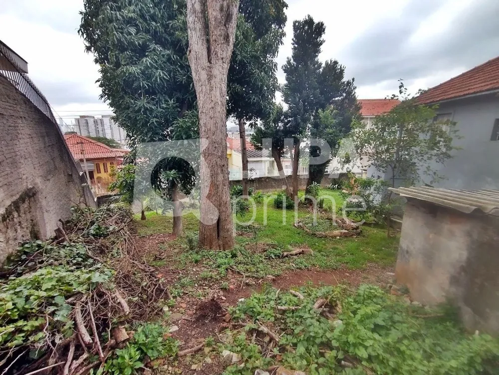 Terreno, 617 m² - Foto 3