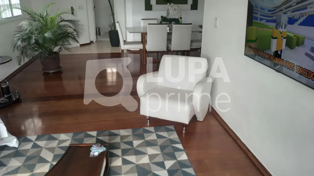 Casa, 4 quartos, 250 m² - Foto 4