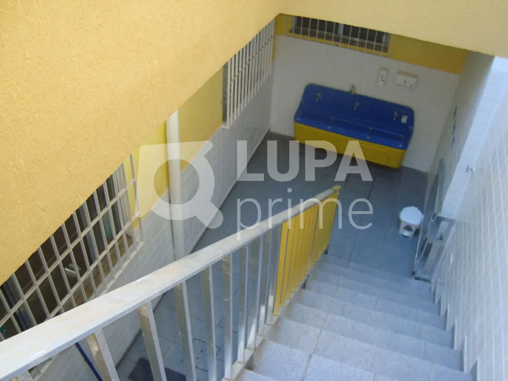 Casa, 1 quarto, 240 m² - Foto 7