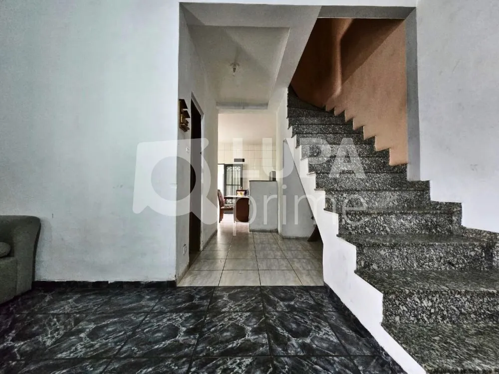 Casa, 3 quartos, 210 m² - Foto 7