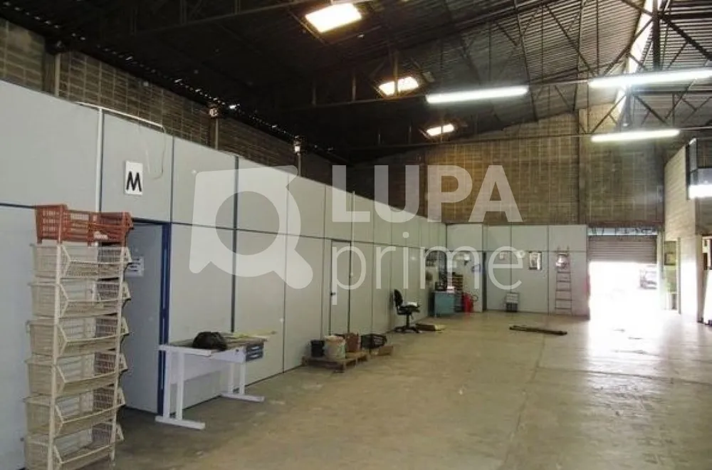 Depósito-Galpão, 600 m² - Foto 4