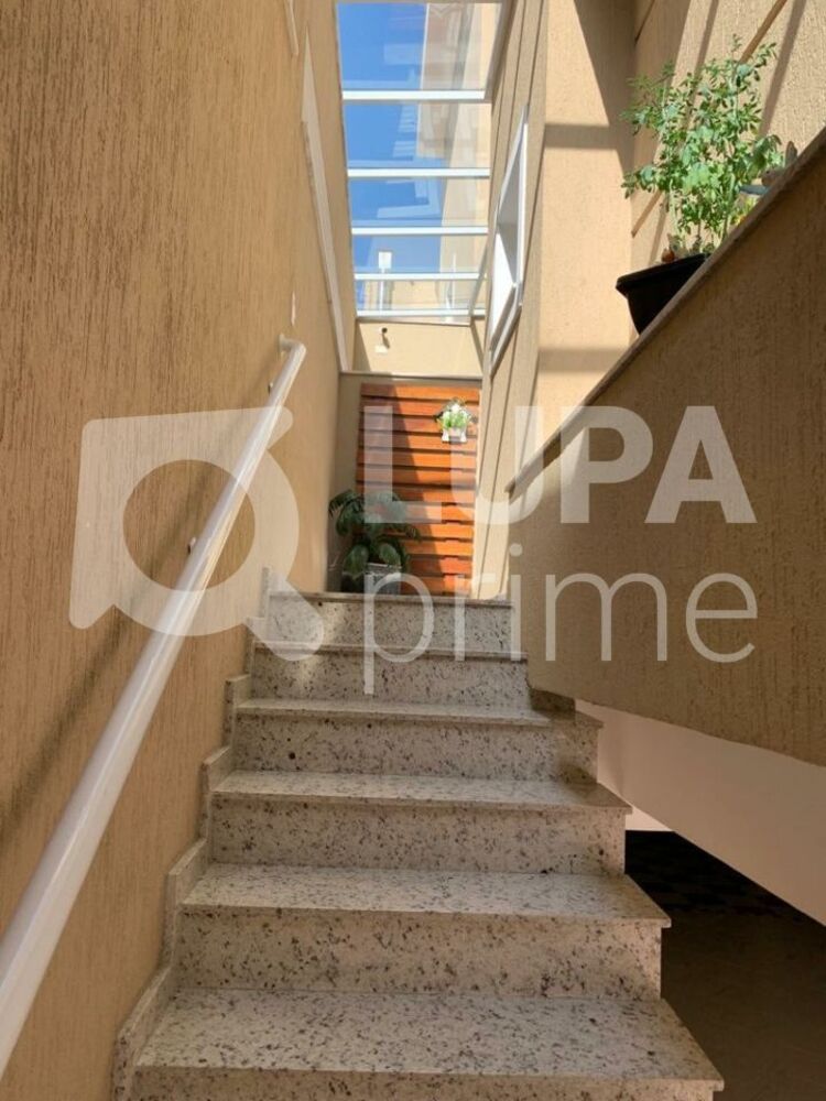 Casa, 4 quartos, 791 m² - Foto 5