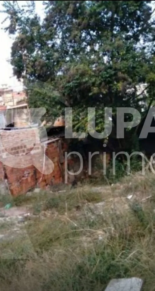 Terreno, 120 m² - Foto 3