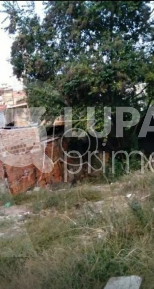 Terreno, 120 m² - Foto 12