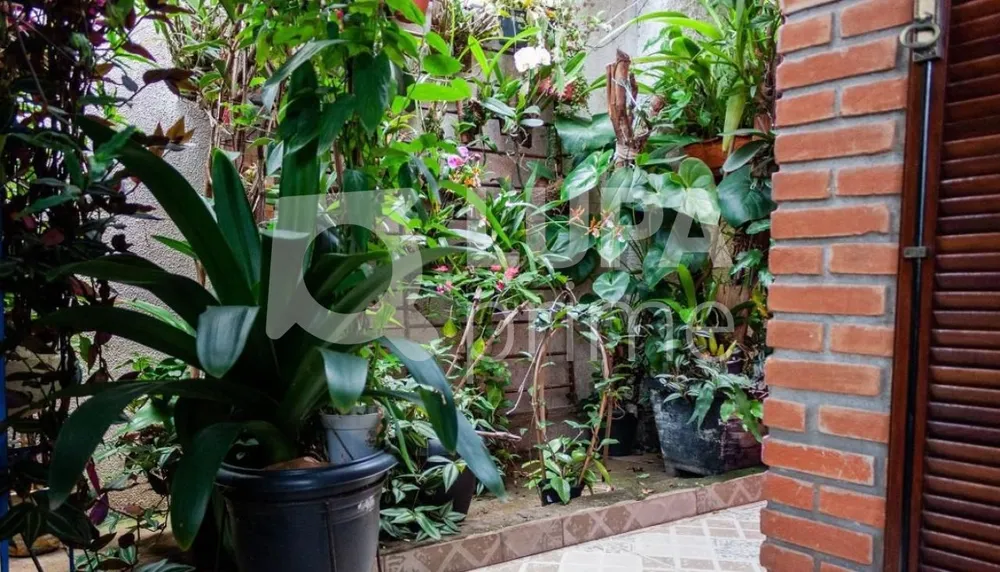 Casa, 3 quartos, 60 m² - Foto 15