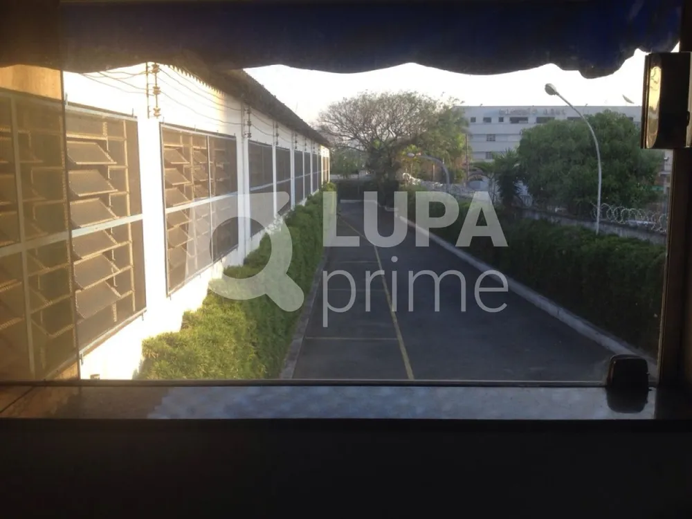 Depósito-Galpão, 3000 m² - Foto 12