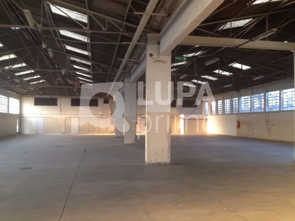 Depósito-Galpão, 3000 m² - Foto 9