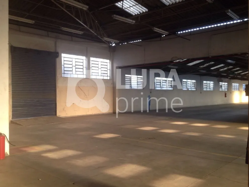Depósito-Galpão, 3000 m² - Foto 3