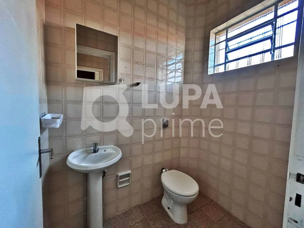 Sala-Conjunto, 300 m² - Foto 3