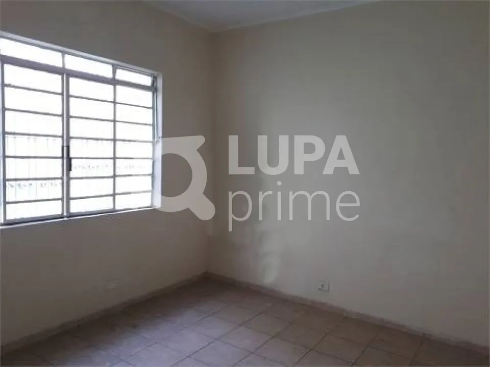 Casa, 4 quartos, 350 m² - Foto 5