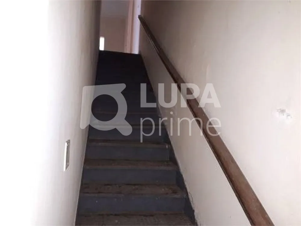 Casa, 4 quartos, 350 m² - Foto 3