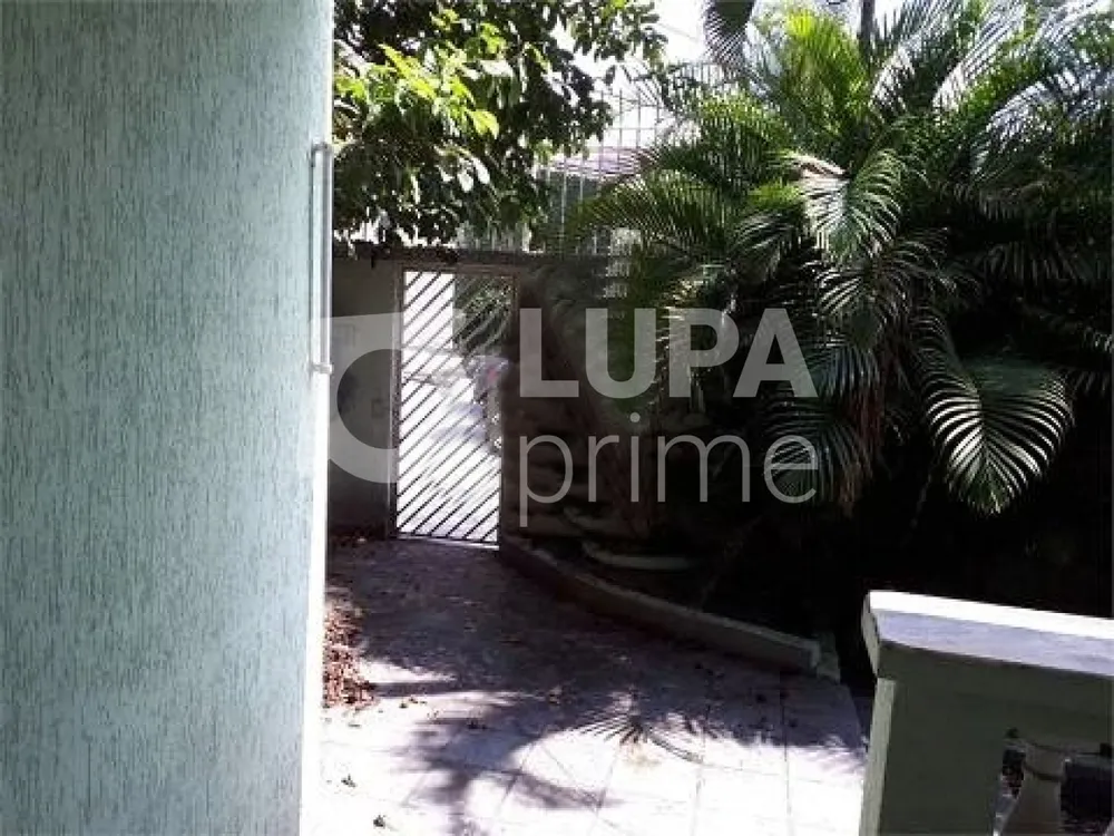 Casa, 4 quartos, 350 m² - Foto 6