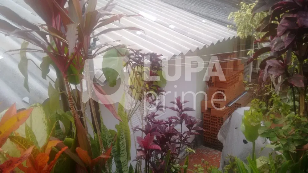 Casa, 17 quartos, 400 m² - Foto 3
