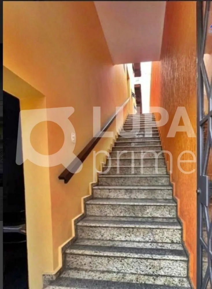 Casa, 3 quartos, 800 m² - Foto 7