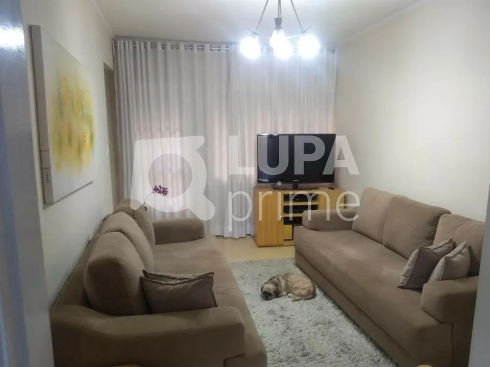 Casa, 7 quartos, 218 m² - Foto 7