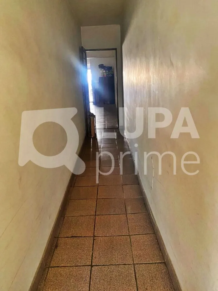 Casa, 6 quartos, 180 m² - Foto 5