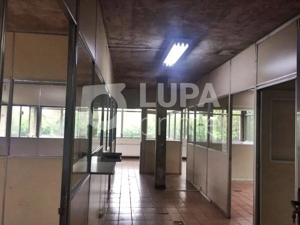 Depósito-Galpão, 3300 m² - Foto 9