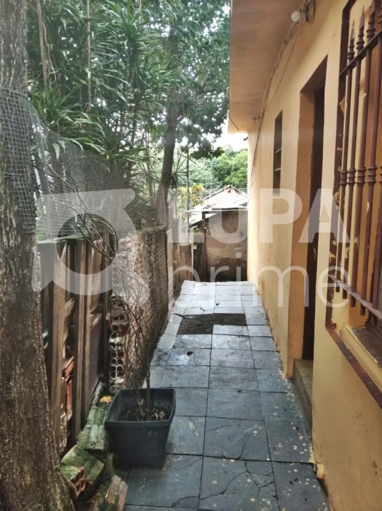 Casa, 6 quartos, 160 m² - Foto 4