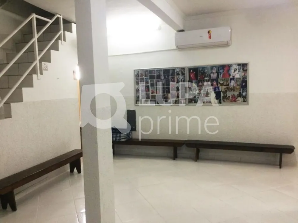Casa, 4 quartos, 282 m² - Foto 4