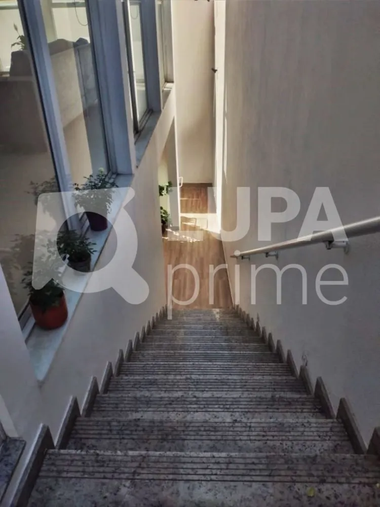 Casa, 3 quartos, 238 m² - Foto 9