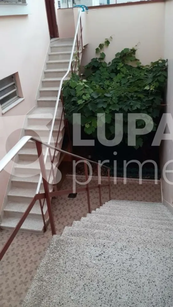 Casa, 3 quartos, 240 m² - Foto 12