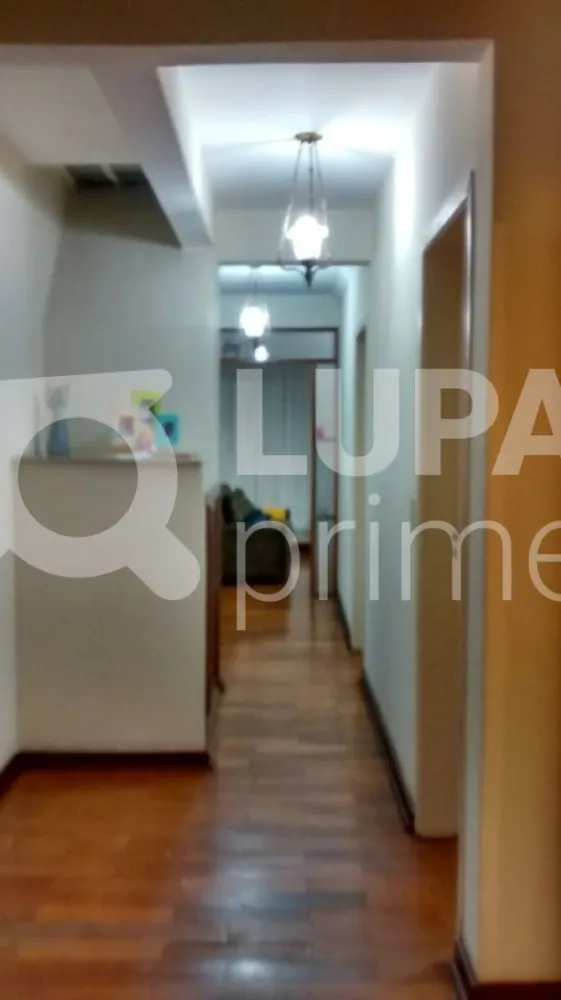 Casa, 4 quartos, 270 m² - Foto 12