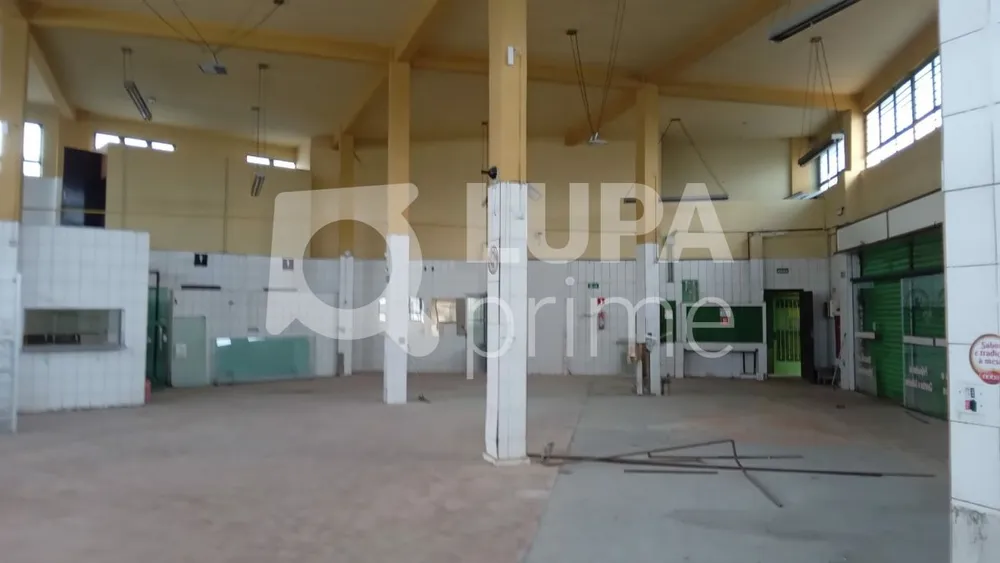 Prédio Inteiro, 522 m² - Foto 11