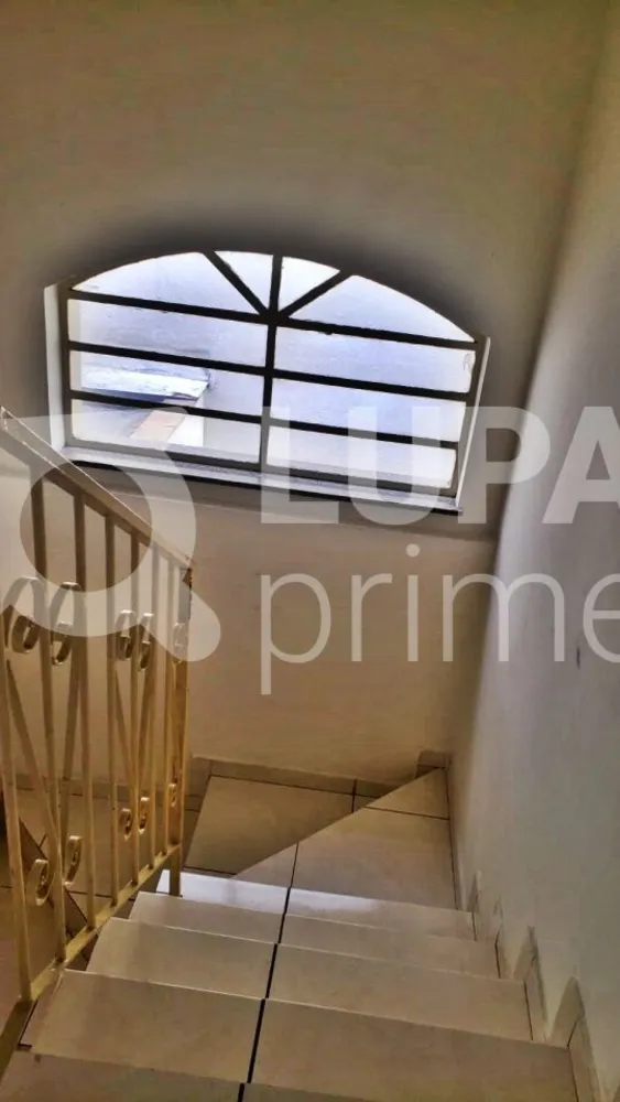 Casa, 3 quartos, 183 m² - Foto 14