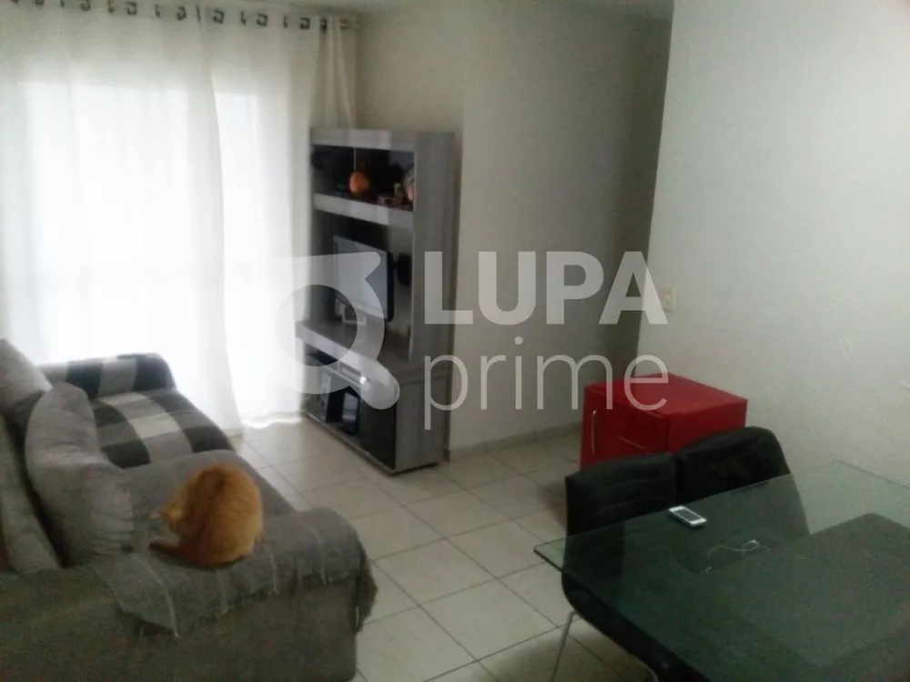 Apartamento à venda com 3 quartos, 66m² - Foto 1