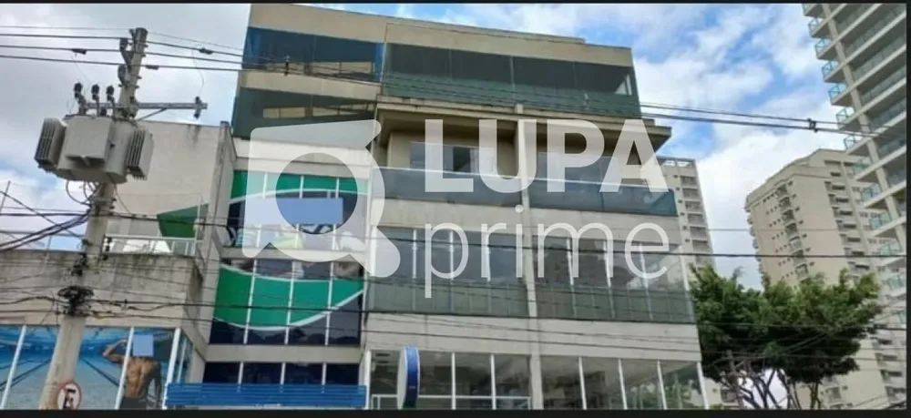 Sala-Conjunto, 250 m² - Foto 3