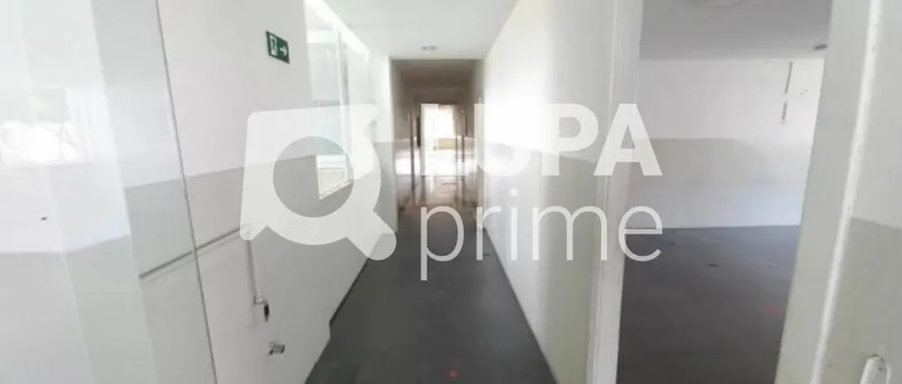 Sala-Conjunto, 250 m² - Foto 2