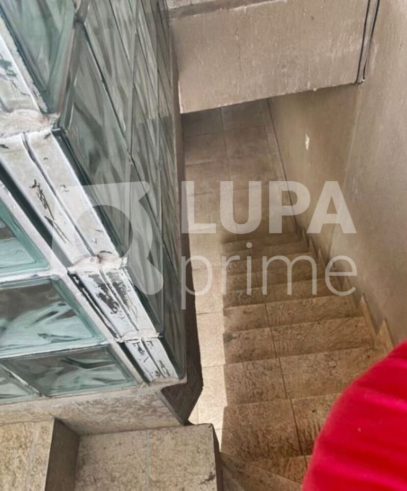 Casa, 5 quartos, 390 m² - Foto 6