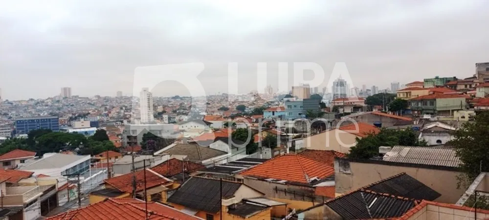 Casa, 3 quartos, 250 m² - Foto 10