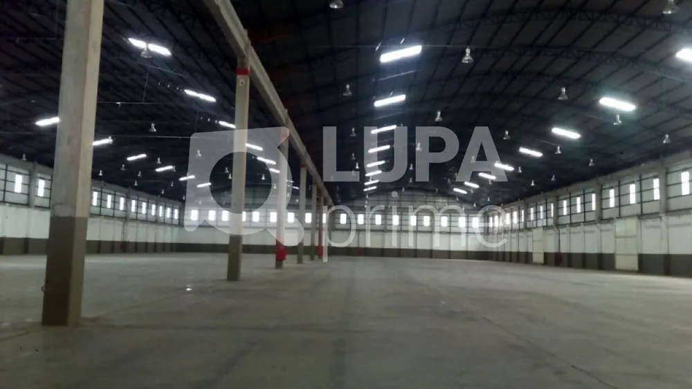 Depósito-Galpão, 10600 m² - Foto 1